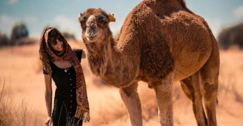 Cappadocia: Camel Safari With Transfer - Accessibility and Restrictions