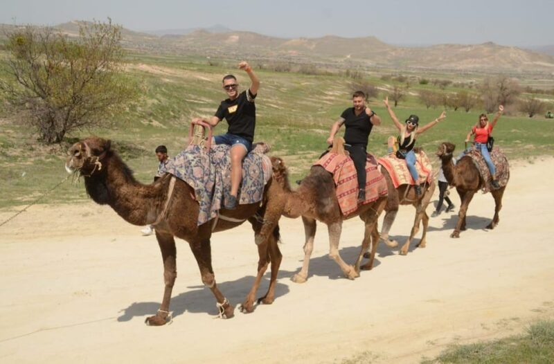 Cappadocia: Camel Safari With Transfer - Customer Feedback