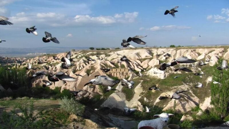 Cappadocia Express Mix Tour (Red Tour & Underground City) - Goreme Open Air Museum