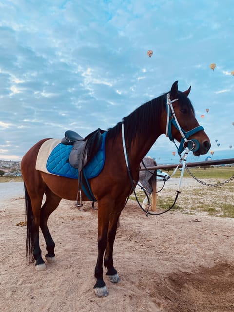 Cappadocia: Fascinating Horse Tour in Göreme Valleys - Connection With Nature and Culture