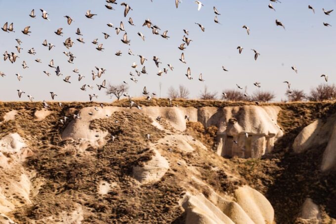 Cappadocia Green Tour With Tour Guide - Free Cancellation and Payment Options