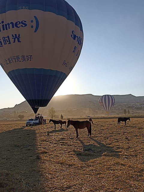 Cappadocia Horse Riding &Atv Quad Bike & Shooting With Camel - Camel Shooting Activity