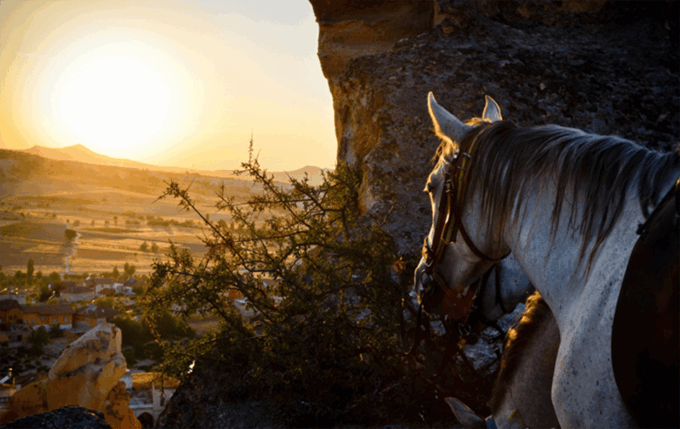 Cappadocia Horse Riding &Atv Quad Bike & Shooting With Camel - Recommended and Prohibited Items