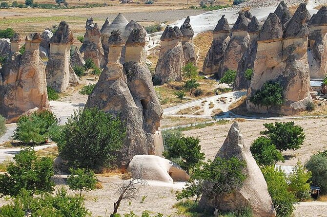Cappadocia NAV & Kayseri ASR Shuttle Airport Transfer - Pickup Details