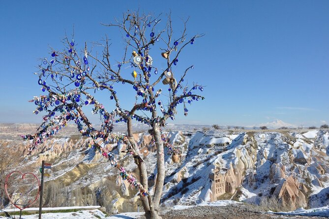 Cappadocia NAV & Kayseri ASR Shuttle Airport Transfer - Traveler Requirements