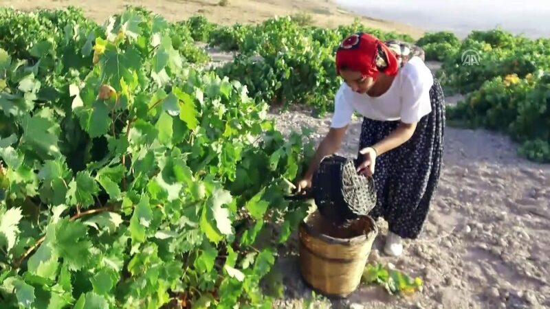 Cappadocia: Private Half-Day Vineyards & Wine Tasting Tour - Pickup & Drop-off Locations