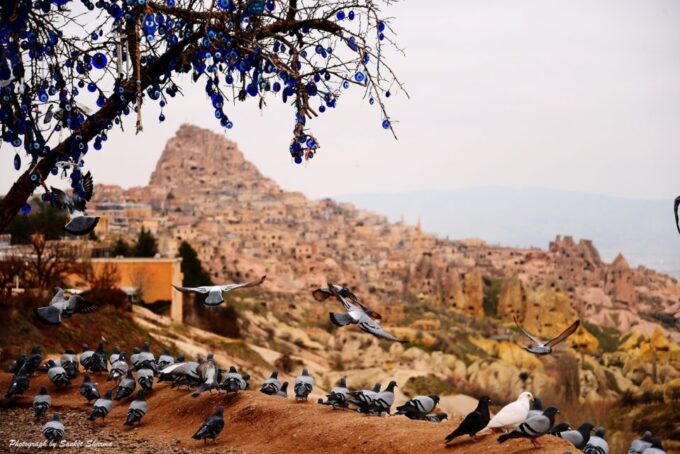 Cappadocia: Private Van & Guide - Plan Your Perfect Day Trip
