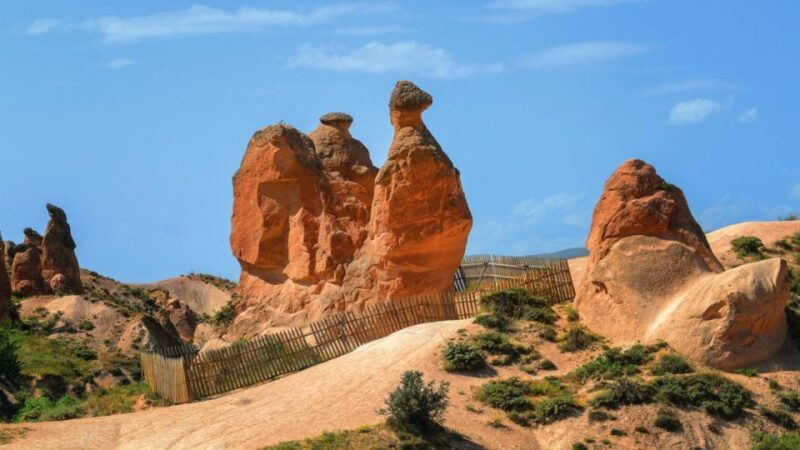 Cappadocia Red Tour With Small Group Full-Day Include Lunch - Customer Reviews and Feedback