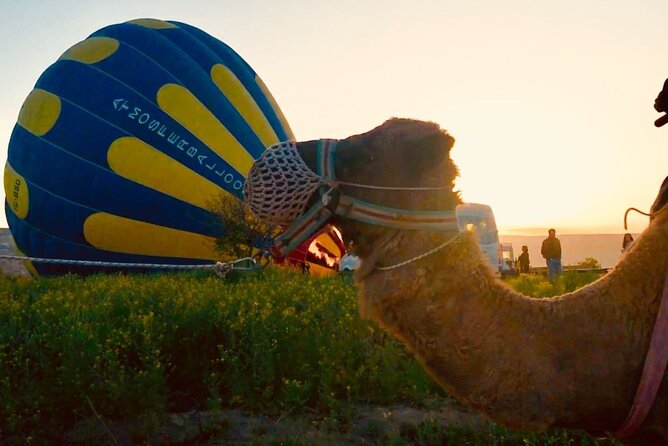 Cappadocia Sunrise Camel Safari - Meeting and Pickup