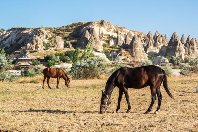 Cappadocia: Sunrise Hot Air Balloon Ride and Day Tour - Urgups Wineries and Tastings
