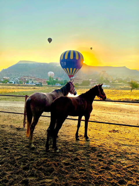 Cappadocias Sunrise Horseback Riding - Pricing Details
