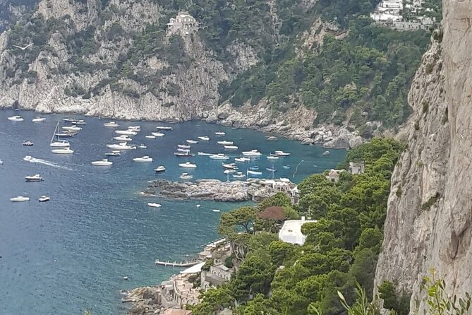 Capri Anacapri and Blue Grotto Day Tour From Naples Small Group - Tour Experience and Feedback