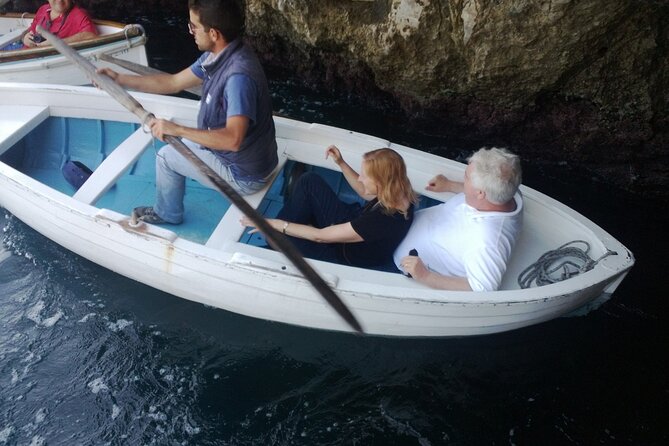 Capri, Anacapri and Blue Grotto Private Tour From Sorrento - Inclusions