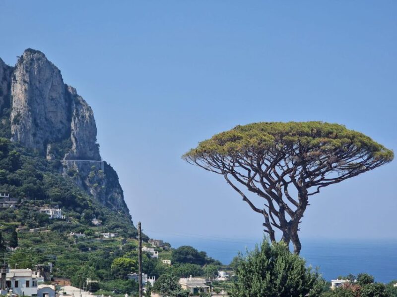 Capri, Anacapri & Blue Grotto Small Group Tour - Optional Chairlift to Mount Solaro