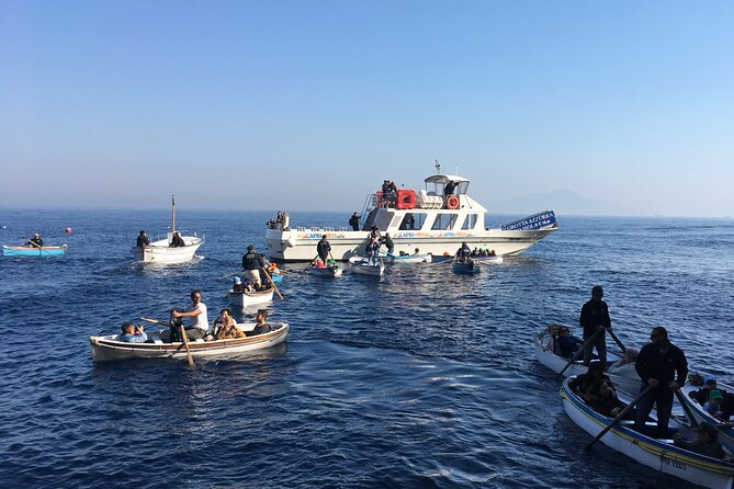 Capri and Blue Grotto Day Tour From Sorrento - Accessibility