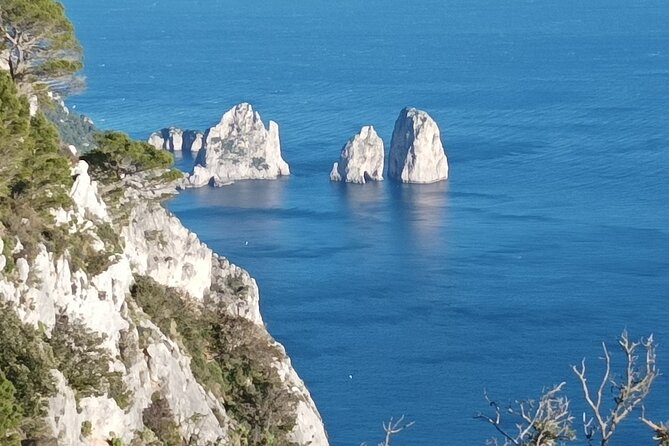 Capri and Blue Grotto Small Group Tour From Sorrento - Physical Activity Requirements