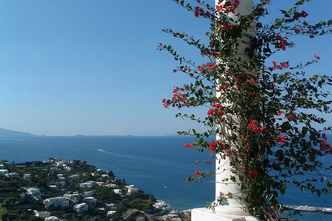 Capri and Blue Grotto Stress Free Day Tour With Kids From Naples - Frequently Asked Questions