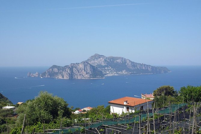 Capri, Blue Grotto, Sorrento and Pompeii From Positano or Amalfi - Unearthing Pompeii