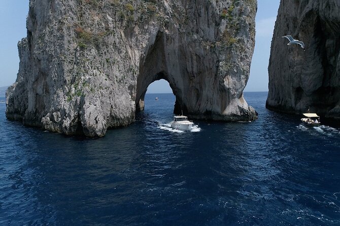 Capri Boat Tour From Sorrento - Speedboat 37FT - Cancellation Policy and Pricing