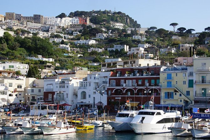 Capri Day and Night Tour From Sorrento - Reviews and Ratings