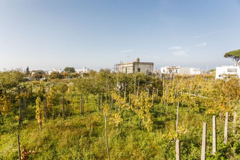 Capri Day Trip From Rome - Travel Details and Itinerary