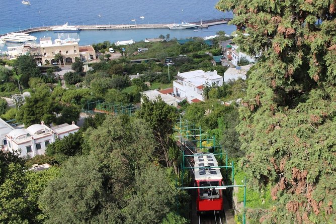 CAPRI - DIY Day Trip Package - BoatTour, BlueGrotto,Bus&Lunch - Traveler Reviews and Experiences