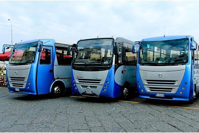 CAPRI - DIY Day Trip Package - BoatTour, BlueGrotto,Bus&Lunch - Personalization Options for the Tour