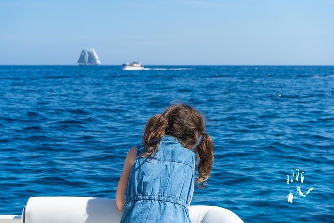 Capri Excursion Shared From Sorrento - Meeting and Pickup