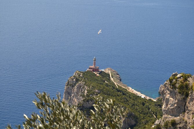 Capri Island and Blue Grotto - Small Group Day Tour - Meeting and Pickup
