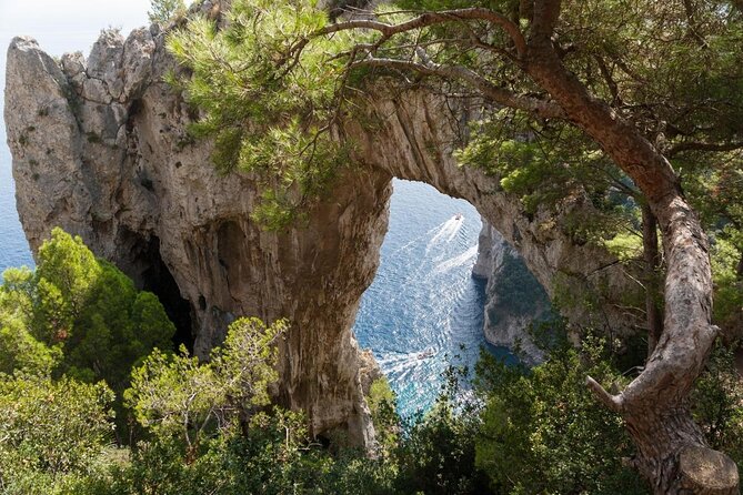 Capri Island Full Day Private Excursion - Key Points