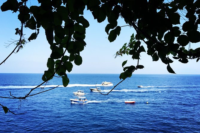 Capri Island With a Local Expert Guide - Top Attractions and Exploration