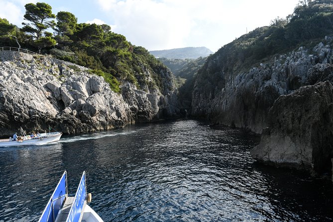 Capri One Day – Visit the Island by Sea and Land With Blue Grotto - Free Time on the Island