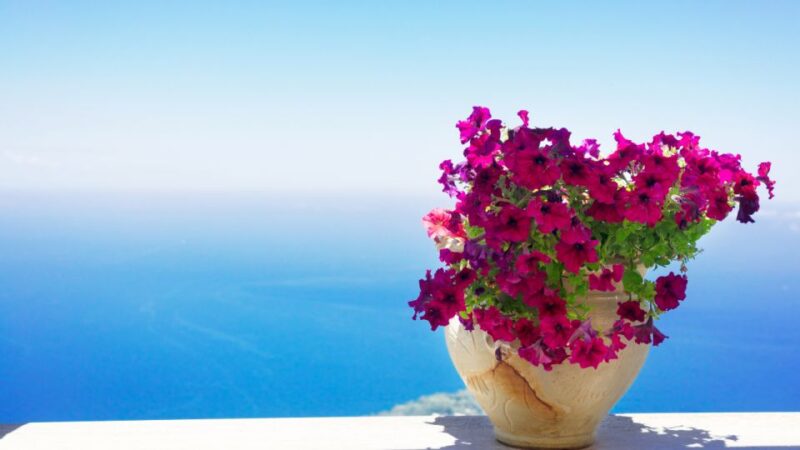Capri Top: Tour With Guide and Tour of the Island by Sea - Booking Information