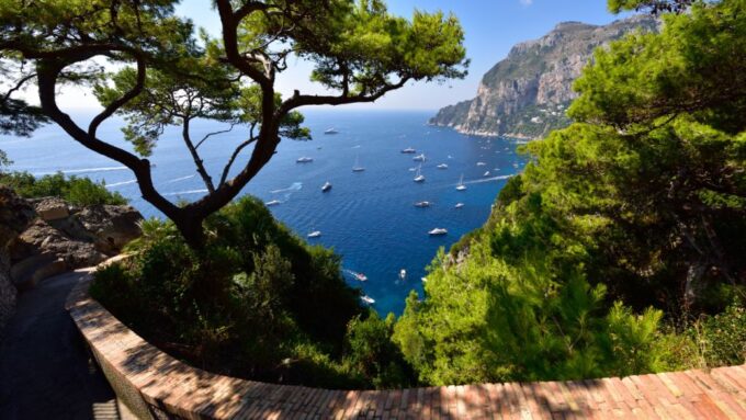 Capri: Tour of the Island With Guide - Cancellation and Payment