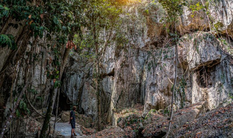 Capricorn Caves, Australia: 45-Minute Cathedral Cave Tour - Participant Information