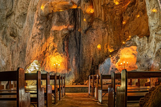Capricorn Caves Cathedral Cave Tour - Flora and Fauna Within the Cave