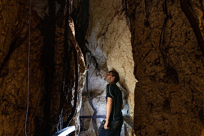 Capricorn Caves Cathedral Cave Tour - Included and Excluded Services