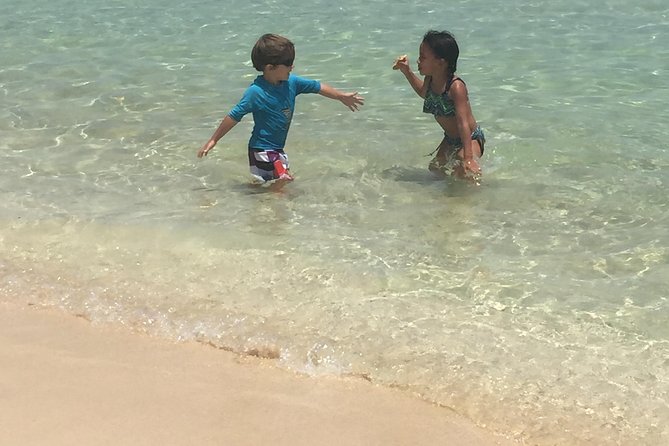 CAPTAIN ALANS 4hr -3 Islands-snorkeling-turtles-beach ADVENTURE - Crew and Safety