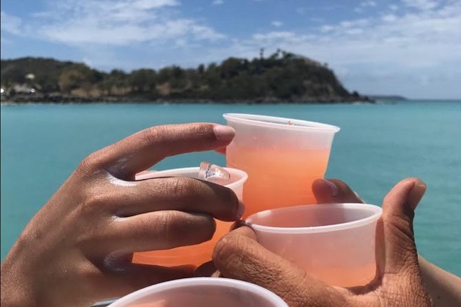 CAPTAIN ALANS 4hr -3 Islands-snorkeling-turtles-beach ADVENTURE - Customer Experiences