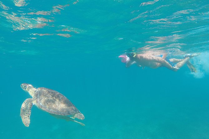 Captain Bob Speed Boat/Snorkeling/Beach Tour + Lunch St Maarten - Meeting and Departure
