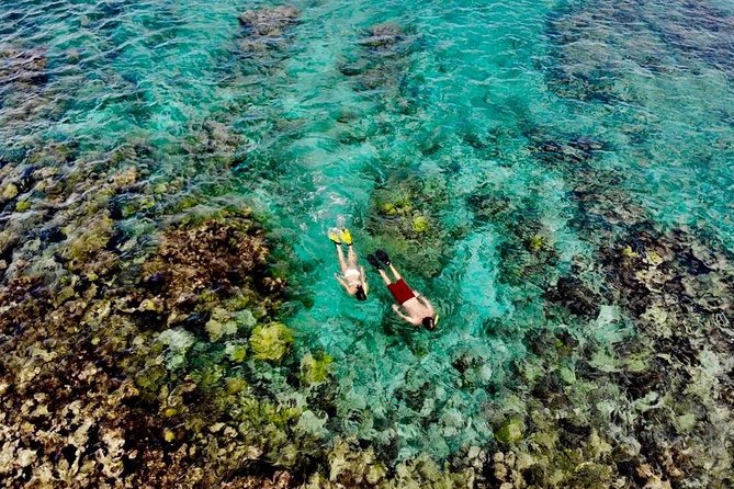 Captain Bob Speed Boat/Snorkeling/Beach Tour + Lunch St Maarten - Tour Recommendations