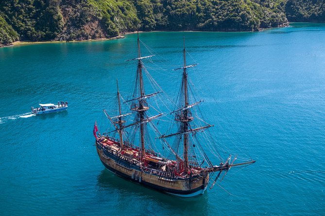 Captain Cook and Dolphin Cruise - Experience Highlights