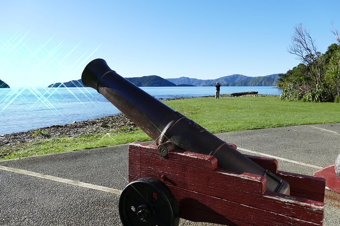 Captain Cook and Dolphin Cruise - Tour Inclusions