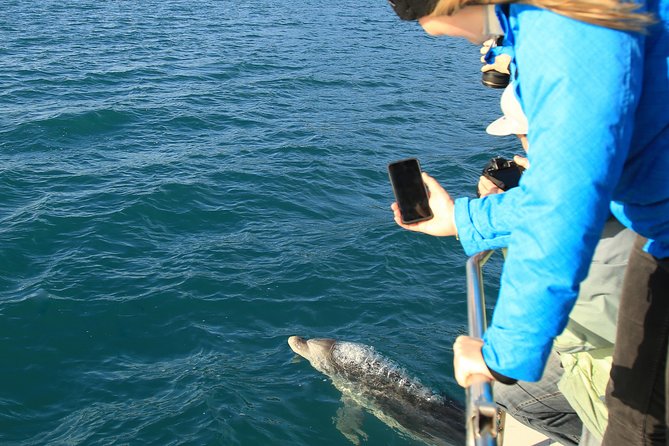 Captain Cook and Dolphin Cruise - Meeting and Pickup Information