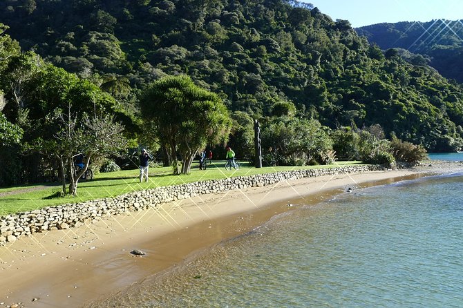 Captain Cook and Dolphin Cruise - Traveler Feedback