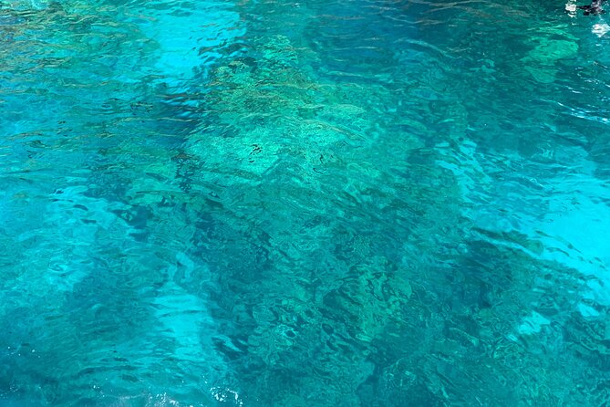 Captain Cook/ Kealakekua Bay Reef Snorkeling - Accessibility and Restrictions