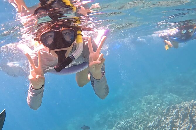 Captain Cook/ Kealakekua Bay Reef Snorkeling - What to Expect on the Tour