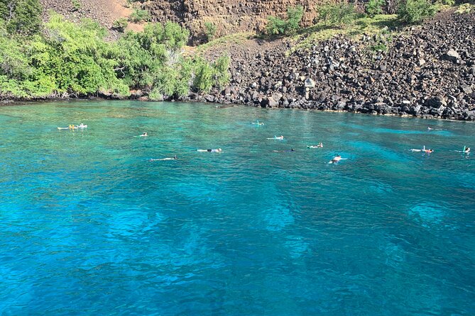 Captain Cook/ Kealakekua Bay Reef Snorkeling - Highlights of the Snorkeling Experience