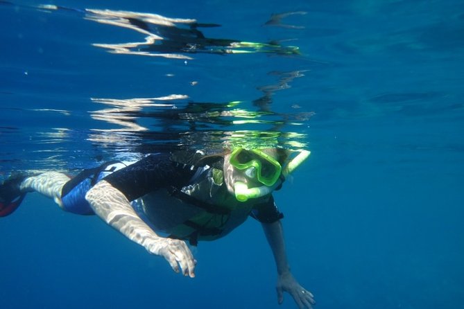 Captain Cook Snorkeling Cruise | Departs From Honokohau Harbor - Tips for a Successful Snorkeling Experience