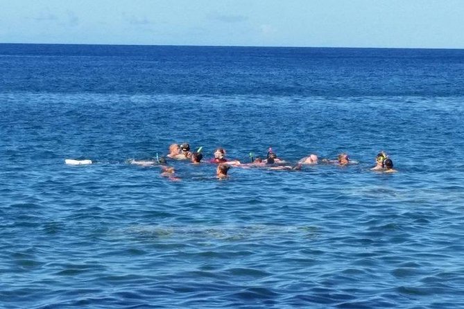 Captains Most Popular Snorkeling and Beach Day With Lunch - Tour Overview